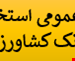 فایل